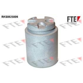 Kolben, Bremssattel RKS8625009 von FTE günstig für 25,26 € online kaufen