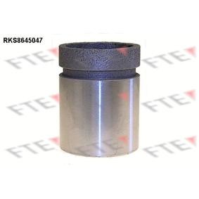 Kolben, Bremssattel RKS8645047 von FTE günstig für 24,96 € online kaufen