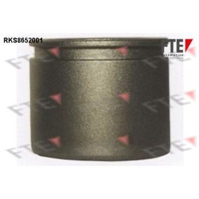 Compre Pistón de la pinza de freno de FTE online para Wagon R+ Hatchback (EM) a precios moderados