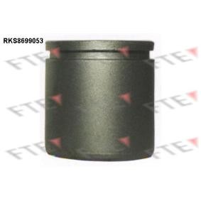 Kolben, Bremssattel RKS8699053 von FTE günstig für 18,13 € online kaufen