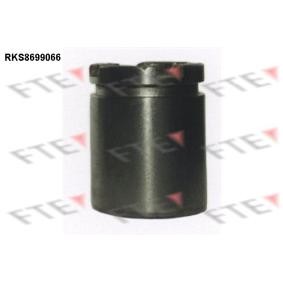 Kolben, Bremssattel RKS8699066 von FTE günstig für 33,06 € online kaufen