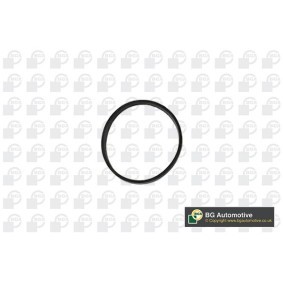Compre Junta, colector de admissão da BGA RW3399 a um preço baixo por 5,46 €