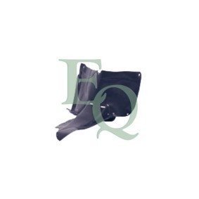 Verkleidung, Radhaus von EQUAL QUALITY