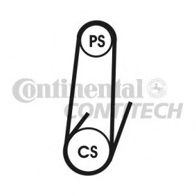 FIAT Keilrippenriemensatz von CONTITECH