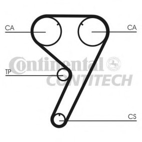 Acquista Cinghia distribuzione da CONTITECH online per THEMA (834) a prezzi moderati