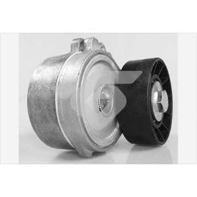 Spannrolle, Keilrippenriemen T0556 von HUTCHINSON günstig für 82,98 € online kaufen