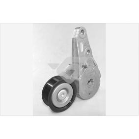 Spannrolle, Keilrippenriemen T0561 von HUTCHINSON günstig für 68,06 € online kaufen