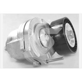 Spannrolle, Keilrippenriemen T0571 von HUTCHINSON günstig für 106,15 € online kaufen