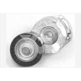 Spannrolle, Keilrippenriemen T0624 von HUTCHINSON günstig für 53,63 € online kaufen