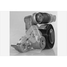 Spannrolle, Keilrippenriemen T0636 von HUTCHINSON günstig für 112,05 € online kaufen