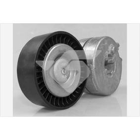 Spannrolle, Keilrippenriemen T0642 von HUTCHINSON günstig für 81,45 € online kaufen