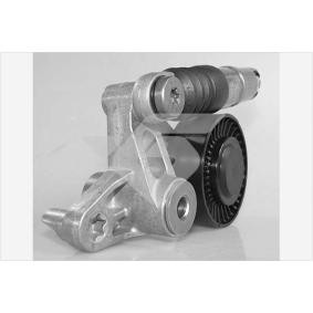 Spannrolle, Keilrippenriemen T0646 von HUTCHINSON günstig für 108,23 € online kaufen