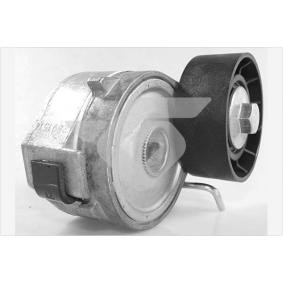 Compre Rolo tensor, correia trapezoidal estriada da HUTCHINSON T0669 a um preço baixo por 87,76 €