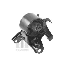 Motorlager TED40055