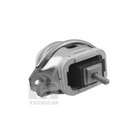 Osta Moottorin tuki TEDGUM:llä TED44341 edullisesti hintaan 54,17 €