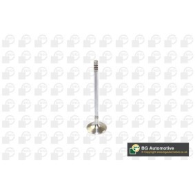 Einlaßventil V166200 von BGA günstig für 9,50 € online kaufen