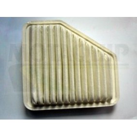 Acquista Filtro aria da MOTAQUIP VFA1210 a buon mercato per soli 27,87 €