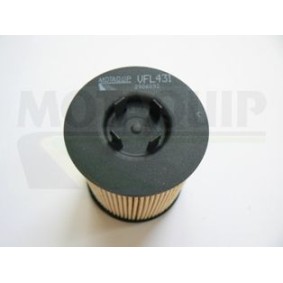 Compre Filtro de óleo da MOTAQUIP VFL431 a um preço baixo por 11,03 €
