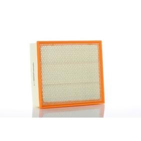 Acquista Filtro aria da PZL Filters WA591090 a buon mercato per soli 24,22 €