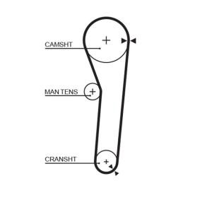 Acquista Cinghia dentata da GATES 5092 a buon mercato per soli 14,24 €
