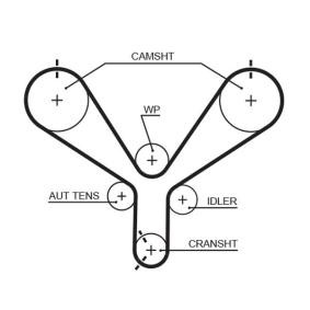 Achetez des Courroie de distribution GATES T190 à prix pour 38,80 €