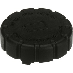 Umlenk- / Führungsrolle, Keilrippenriemen T36387 von GATES günstig für 49,56 € online kaufen