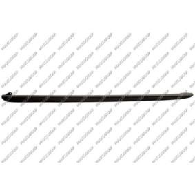 Schwellerverkleidung VG0391404 von PRASCO günstig für 80,05 € online kaufen