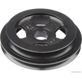 Riemenscheibe, Kurbelwelle J1091015 von HERTH+BUSS JAKOPARTS günstig für 144,61 € online kaufen