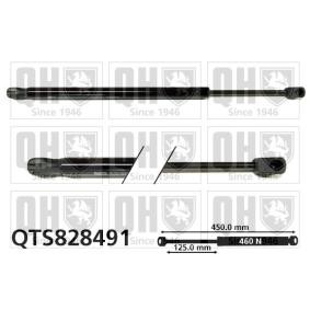 Compre Amortecedor da mala da QUINTON HAZELL QTS828491 a um preço baixo por 93,67 €