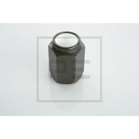 Radlager 070.949-00A von PETERS ENNEPETAL günstig für 152,48 € online kaufen
