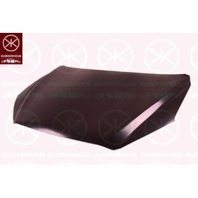 Motorhaube 3481280 von KLOKKERHOLM günstig für 169,42 € online kaufen