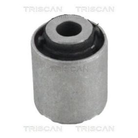 Compre Suspensão, braço oscilante da TRISCAN 8500 28872 a um preço baixo por 12,34 €