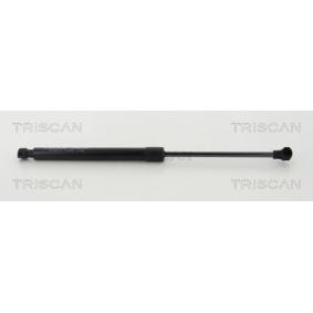 Motorhaubendämpfer für RENAULT von TRISCAN