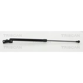 Compre Maletero de TRISCAN online para IMPREZA Fastback (GP) a precios moderados