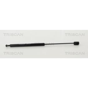 Motorhaubendämpfer für JEEP von TRISCAN