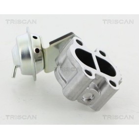 AGR-Ventil 8813 13060 von TRISCAN günstig für 226,51 € online kaufen