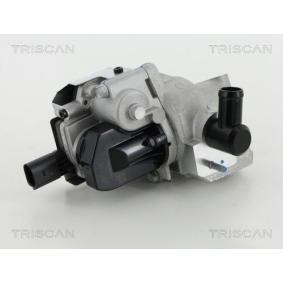 AGR-Ventil 8813 18046 von TRISCAN günstig für 318,81 € online kaufen