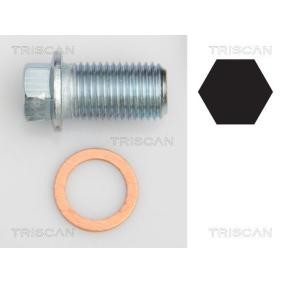 Acquista Vite di chiusura, vaschetta dell'olio da TRISCAN 9500 1012 a buon mercato per soli 4,55 €