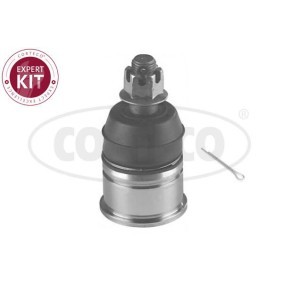 Compre Rótula de suspensão de CORTECO online para 400 Tourer (XW) a preços moderados