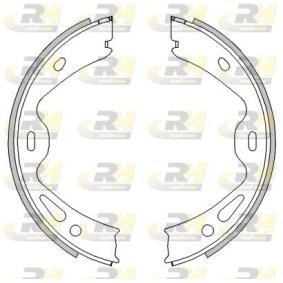 Bremsbackensatz, Feststellbremse 4613.00 von ROADHOUSE günstig für 26,48 € online kaufen