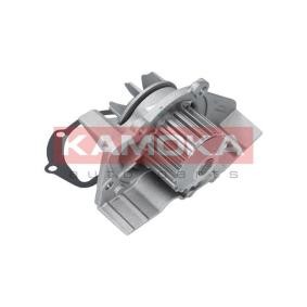 Achetez des Pompe à eau KAMOKA T0070 à prix pour 33,64 €