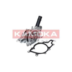 Wasserpumpe des Herstellers KAMOKA - Originalware Artikelnummer: T0198