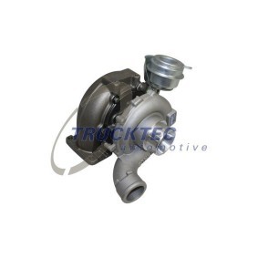 Unterdruckpumpe, Bremsanlage 07.36.013 von TRUCKTEC AUTOMOTIVE günstig für 291,62 € online kaufen