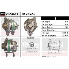 Lichtmaschine DRA3144 von DELCO REMY günstig für 618,08 € online kaufen