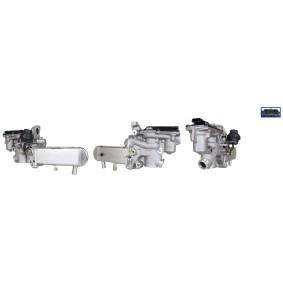 AGR-Ventil 73-0269 von ELSTOCK günstig für 297,26 € online kaufen