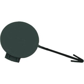 Klappe, Abschlepphaken 1080062 von DIEDERICHS günstig für 24,55 € online kaufen