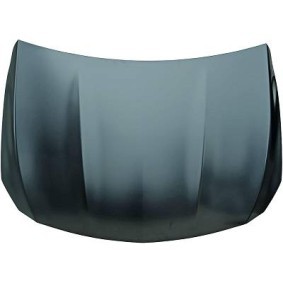 Motorhaube des Herstellers DIEDERICHS - Originalware Artikelnummer: 1641000