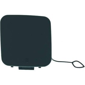 Klappe, Abschlepphaken 1647161 von DIEDERICHS günstig für 10,06 € online kaufen