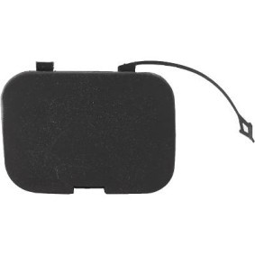 Klappe, Abschlepphaken 3484861 von DIEDERICHS günstig für 12,63 € online kaufen