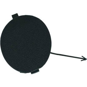 Klappe, Abschlepphaken 3494160 von DIEDERICHS günstig für 24,30 € online kaufen